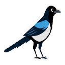 Magpie Image