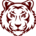 Tiger Image